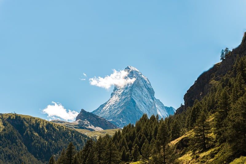 Travel Insurance
