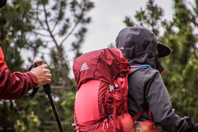 Travelers with backpacks